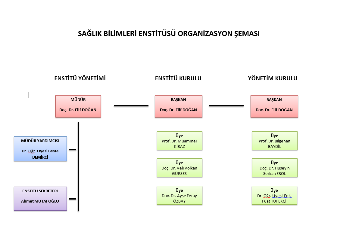 organizasyon